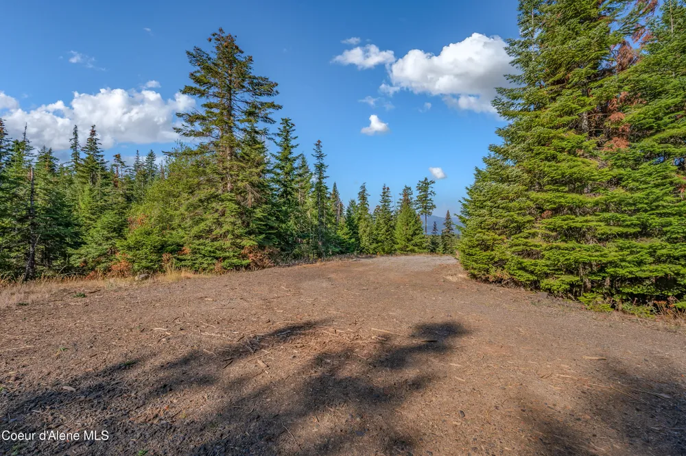 9130 S LAHAINA ROAD Harrison, ID 83833