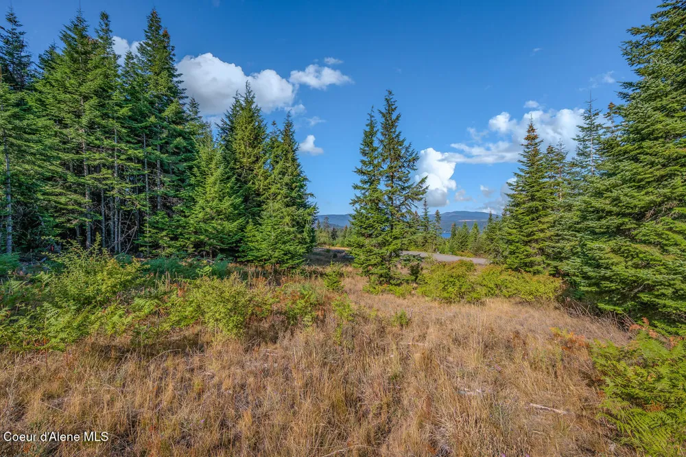 9130 S LAHAINA ROAD Harrison, ID 83833
