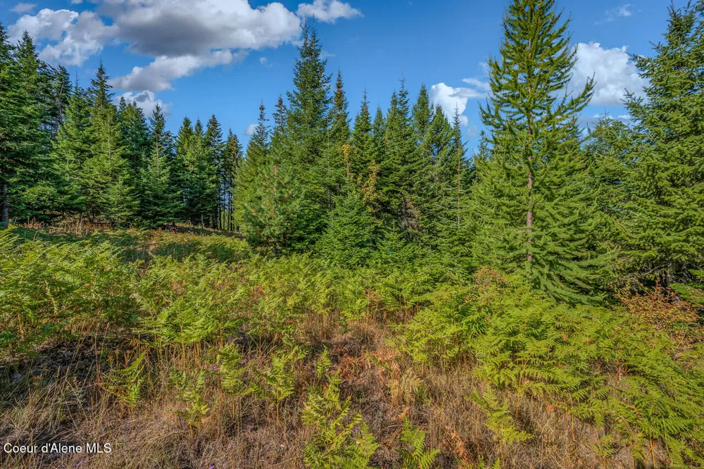 9130 S LAHAINA ROAD Harrison, ID 83833