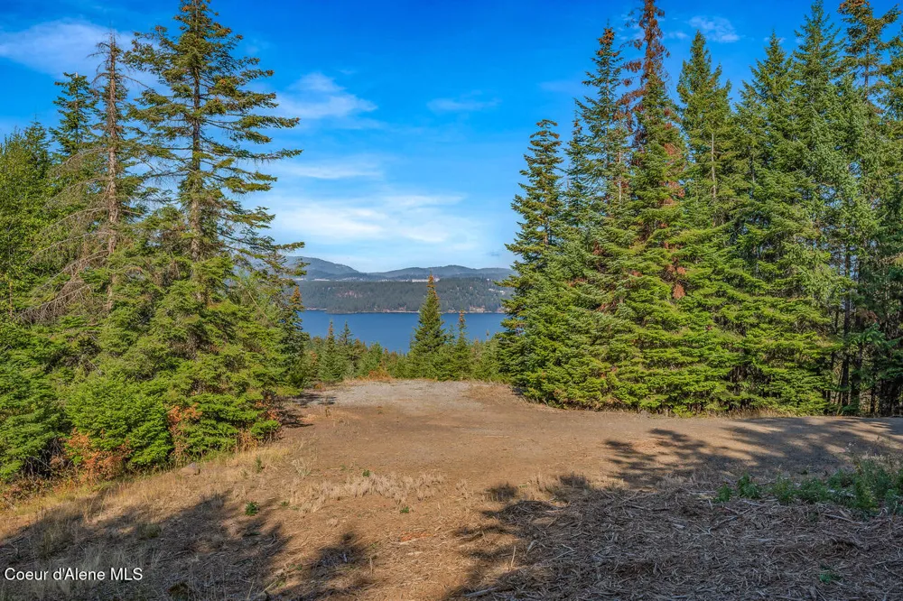 9130 S LAHAINA ROAD Harrison, ID 83833