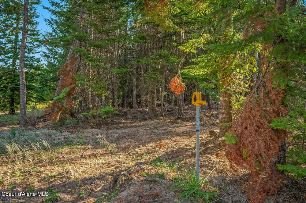 9130 S LAHAINA ROAD Harrison, ID 83833