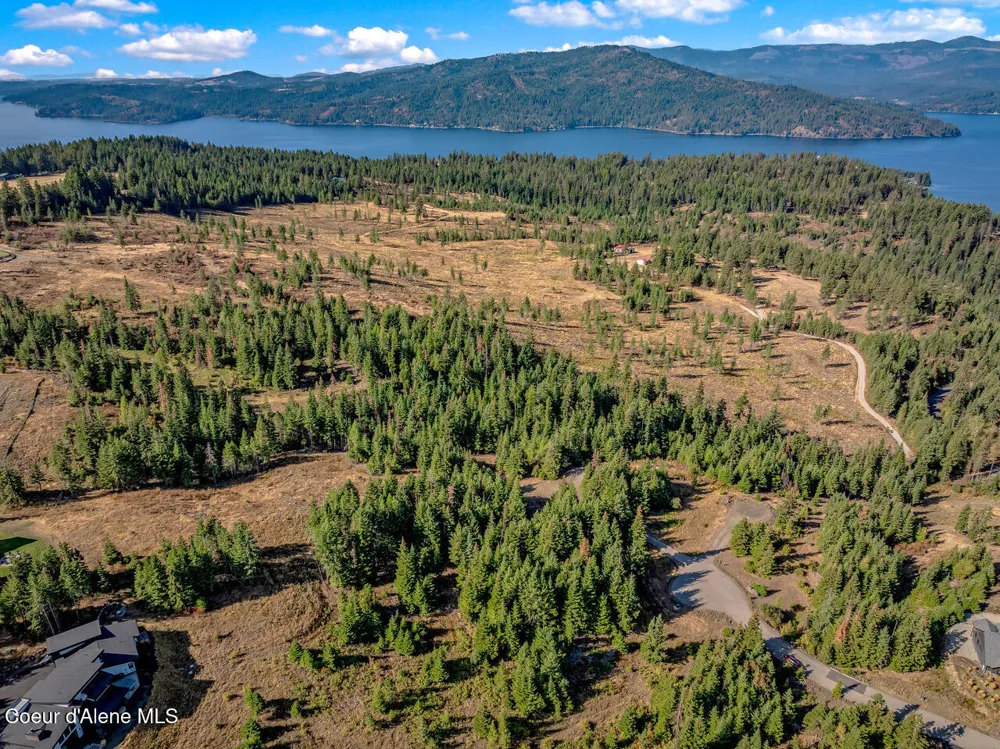 9130 S LAHAINA ROAD Harrison, ID 83833