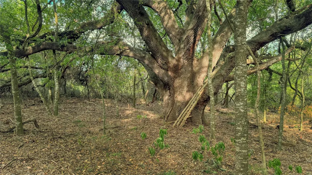 Rolling Creek Road Burton, TX 77835