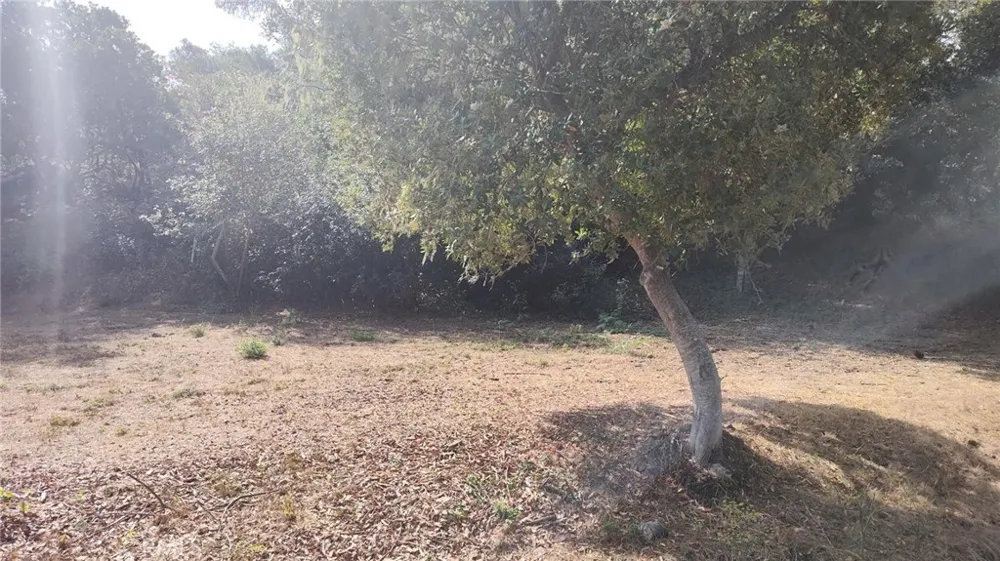 3236 Gleason Street Cambria, CA 93428