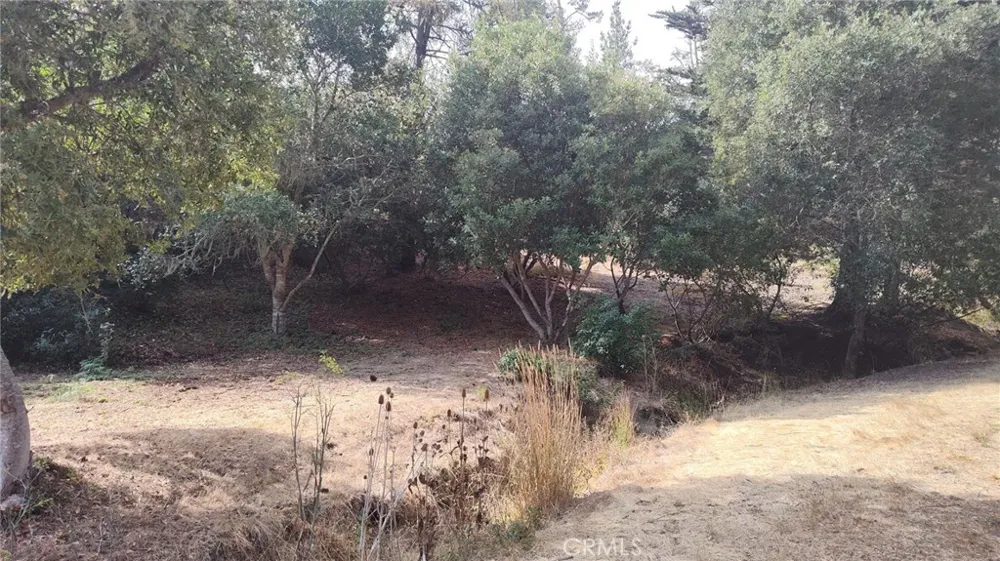 3236 Gleason Street Cambria, CA 93428