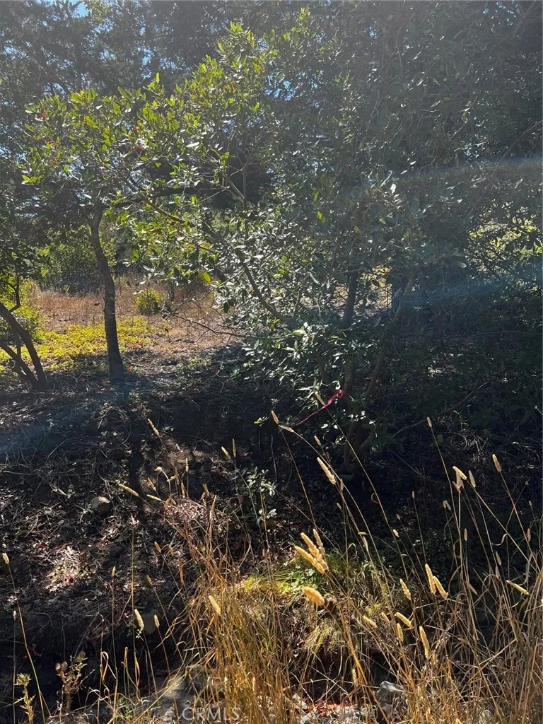 3236 Gleason Street Cambria, CA 93428