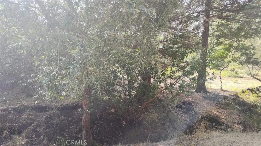 3236 Gleason Street Cambria, CA 93428