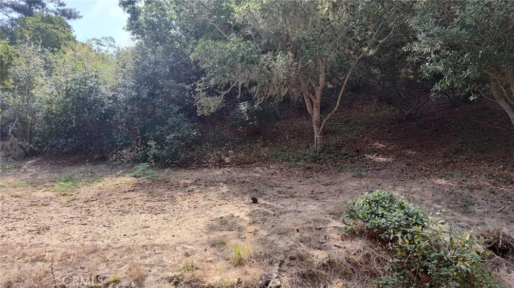 3236 Gleason Street Cambria, CA 93428