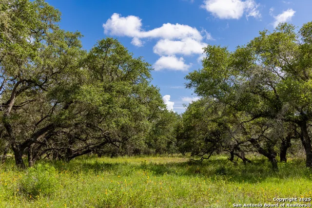 8841 Fm 775 La Vernia, TX 78121