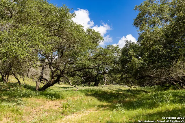 8841 Fm 775 La Vernia, TX 78121