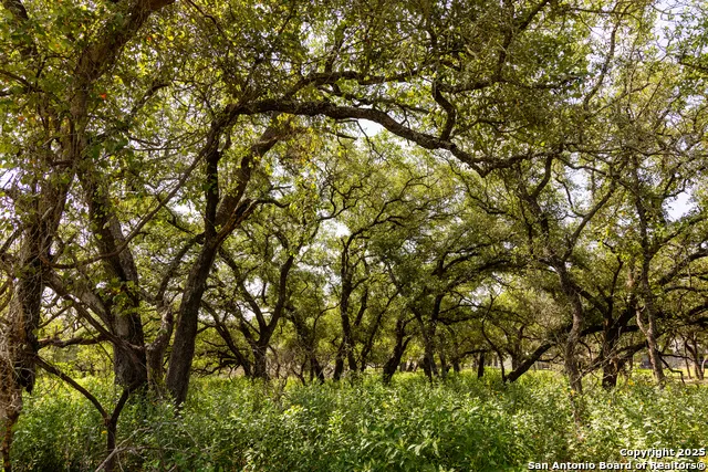 8841 Fm 775 La Vernia, TX 78121