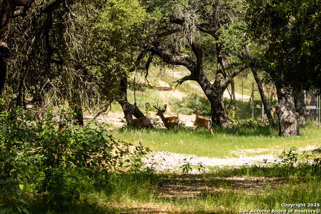 8841 Fm 775 La Vernia, TX 78121