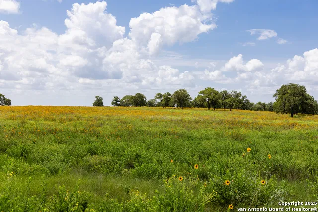 8841 Fm 775 La Vernia, TX 78121