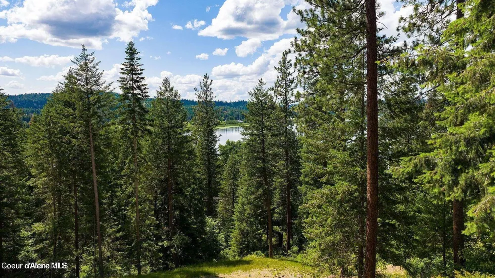 NKA Woodlake Drive Hauser, ID 83854