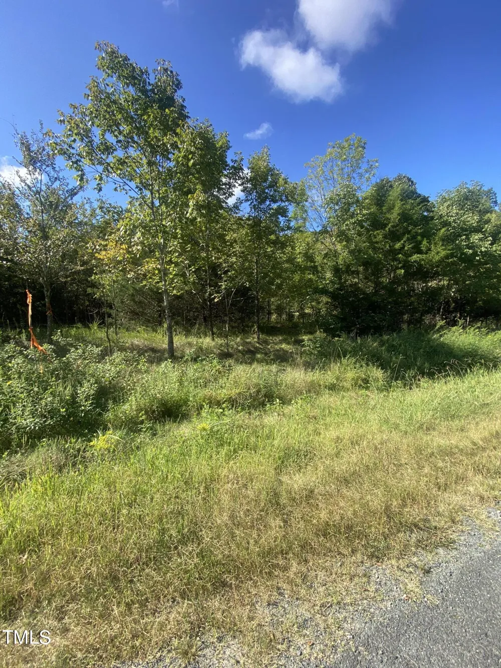 Lots 11-14 Lenore Drive Burlington, NC 27217