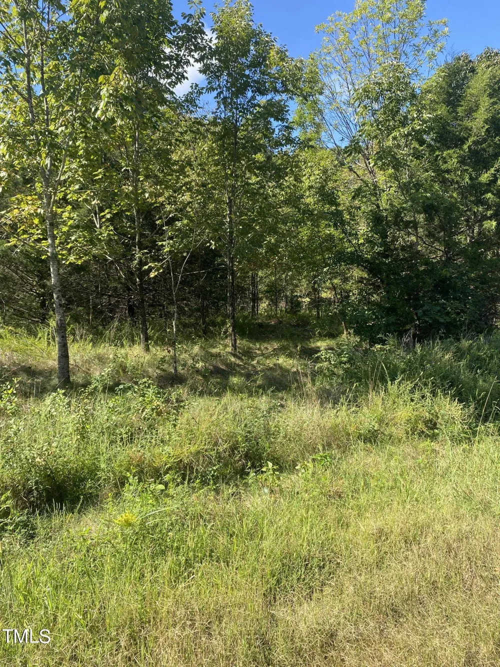 Lots 11-14 Lenore Drive Burlington, NC 27217
