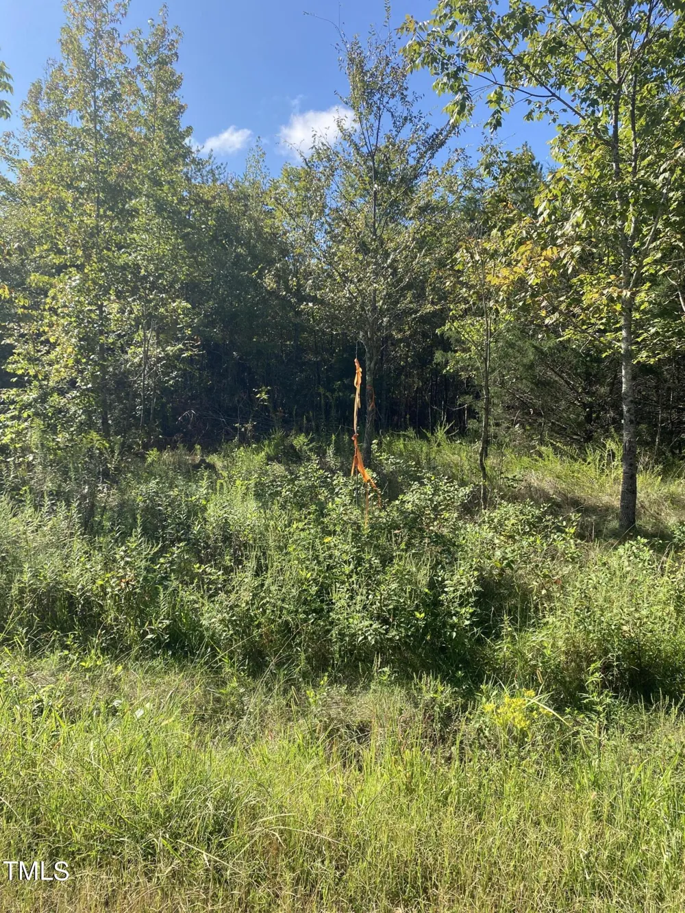 Lots 11-14 Lenore Drive Burlington, NC 27217