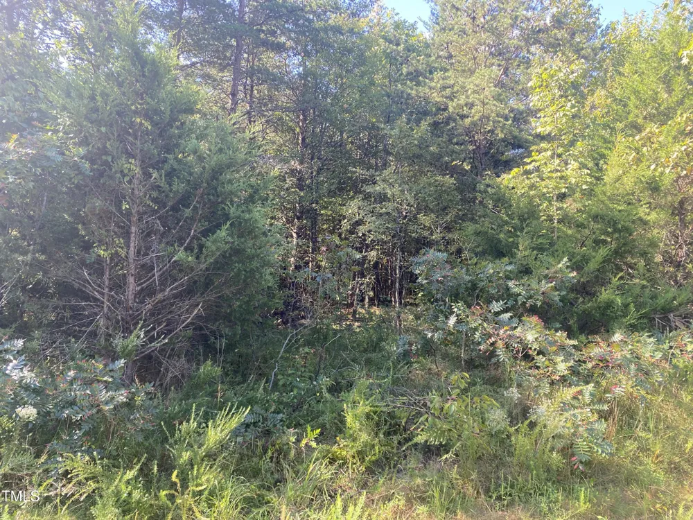 Lots 11-14 Lenore Drive Burlington, NC 27217