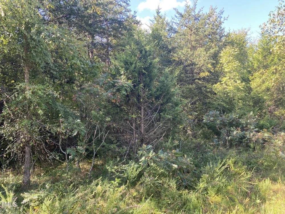 Lots 11-14 Lenore Drive Burlington, NC 27217