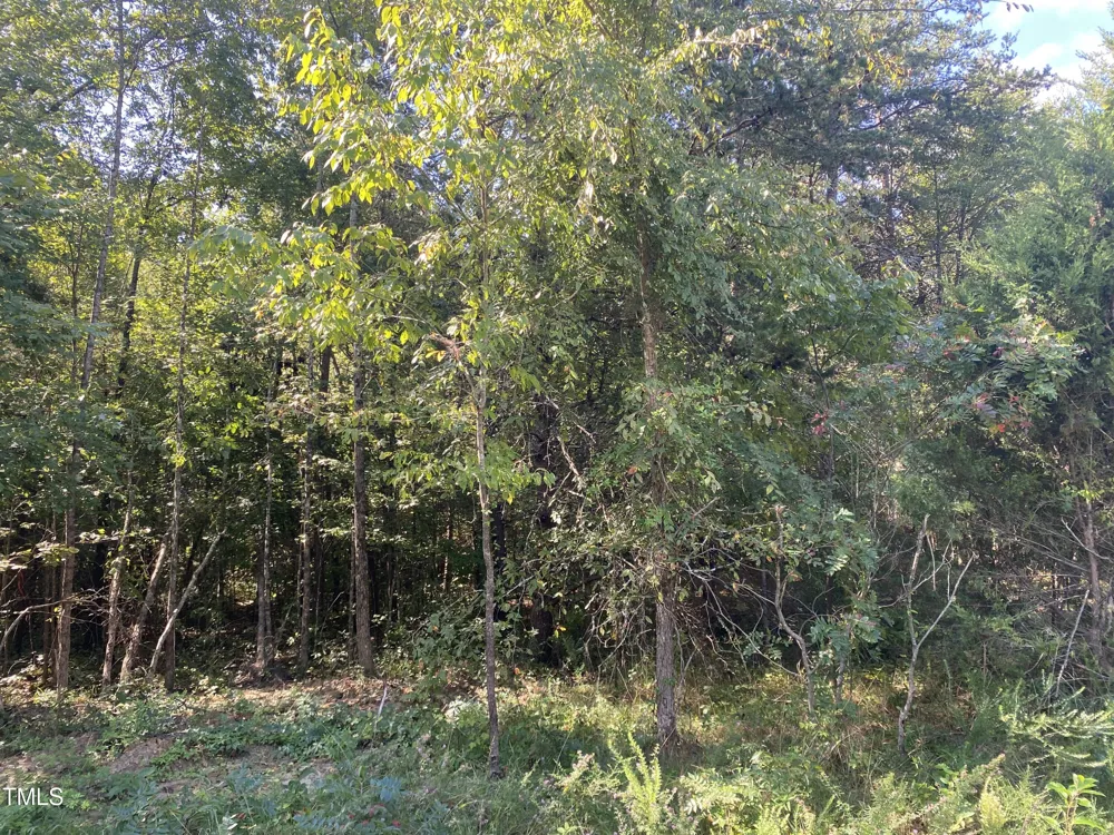 Lots 11-14 Lenore Drive Burlington, NC 27217