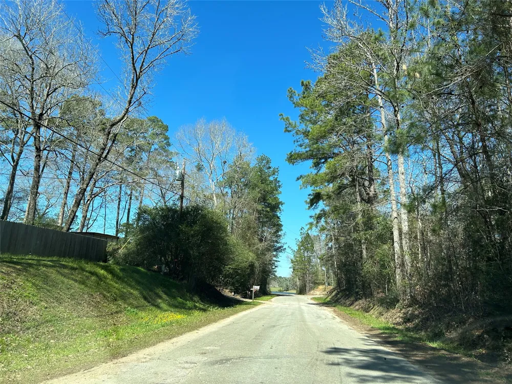 Royal Crk Road Willis, TX 77303