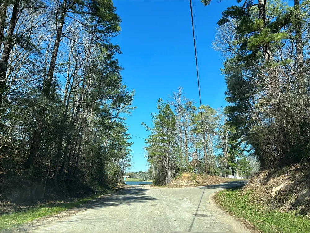 Royal Crk Road Willis, TX 77303