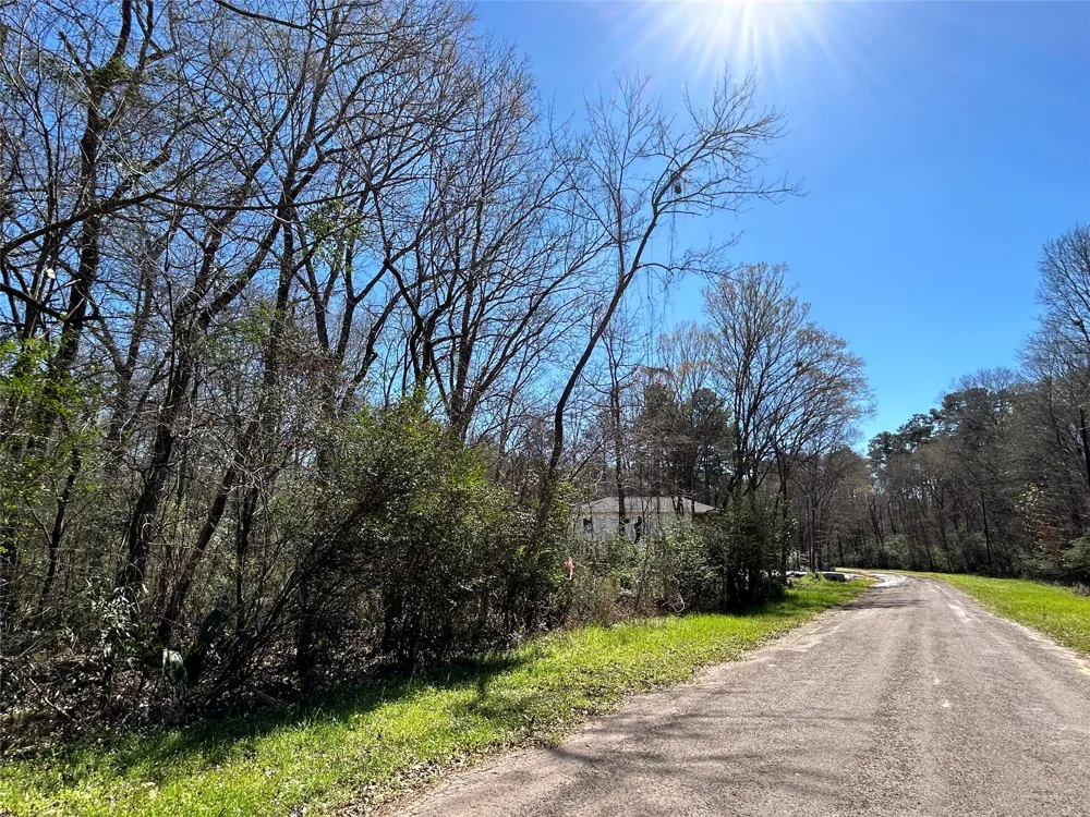 Royal Crk Road Willis, TX 77303