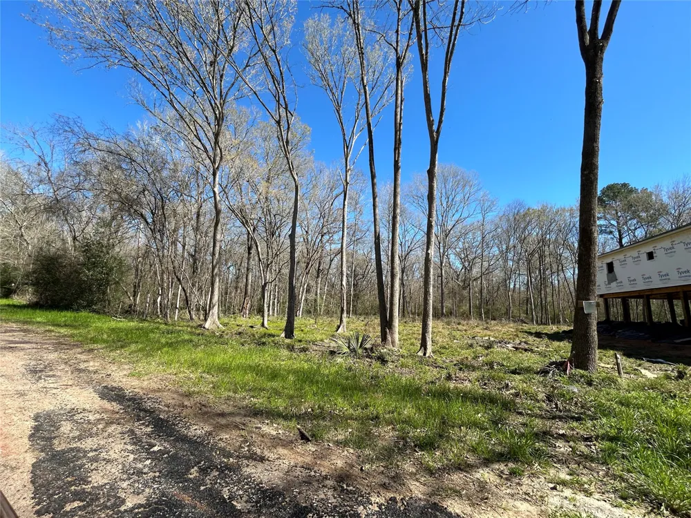 Royal Crk Road Willis, TX 77303
