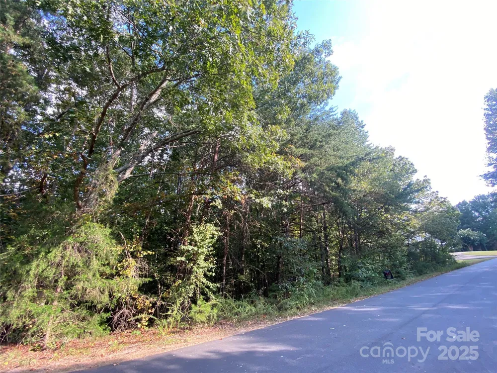 1301 Shadowfax Wynd #51 Hickory, NC 28602