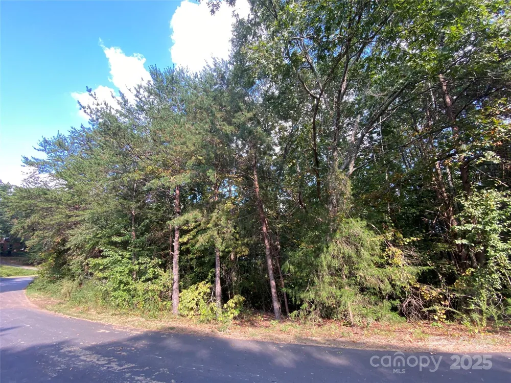 1301 Shadowfax Wynd #51 Hickory, NC 28602