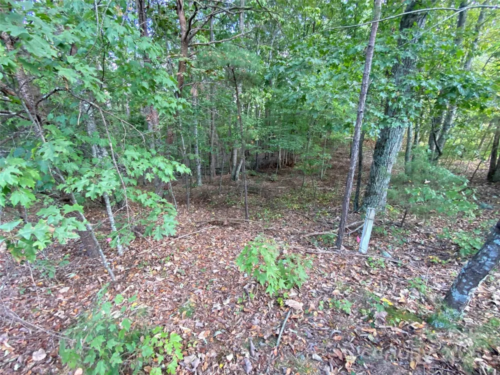 1301 Shadowfax Wynd #51 Hickory, NC 28602