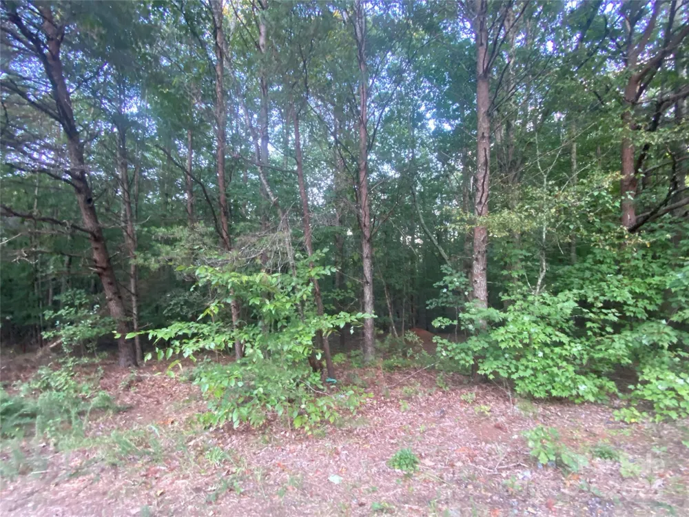 1301 Shadowfax Wynd #51 Hickory, NC 28602