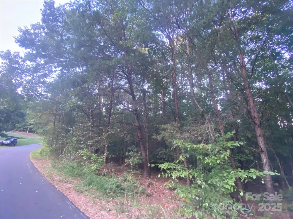 1301 Shadowfax Wynd #51 Hickory, NC 28602