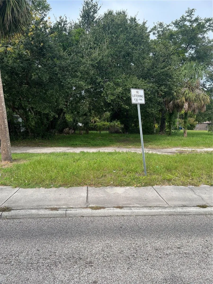 MARTIN LUTHER KING JR AVENUE Clearwater, FL 33755