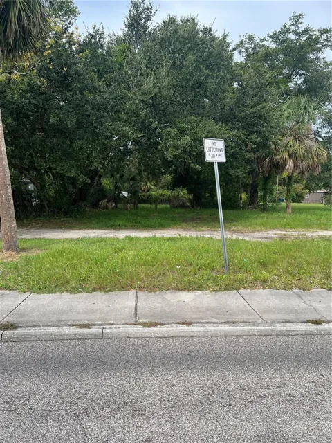 MARTIN LUTHER KING JR AVENUE