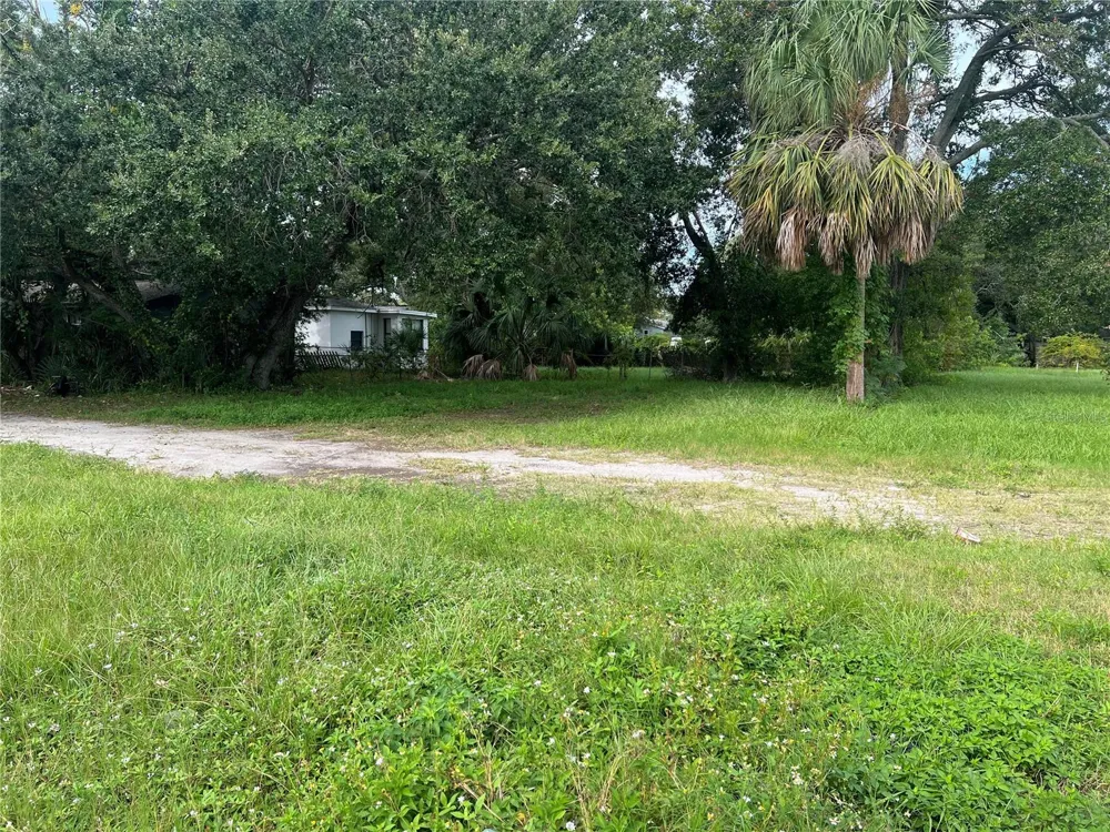 MARTIN LUTHER KING JR AVENUE Clearwater, FL 33755