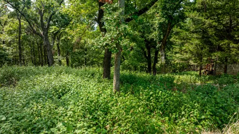 Pheasant Circle Circle