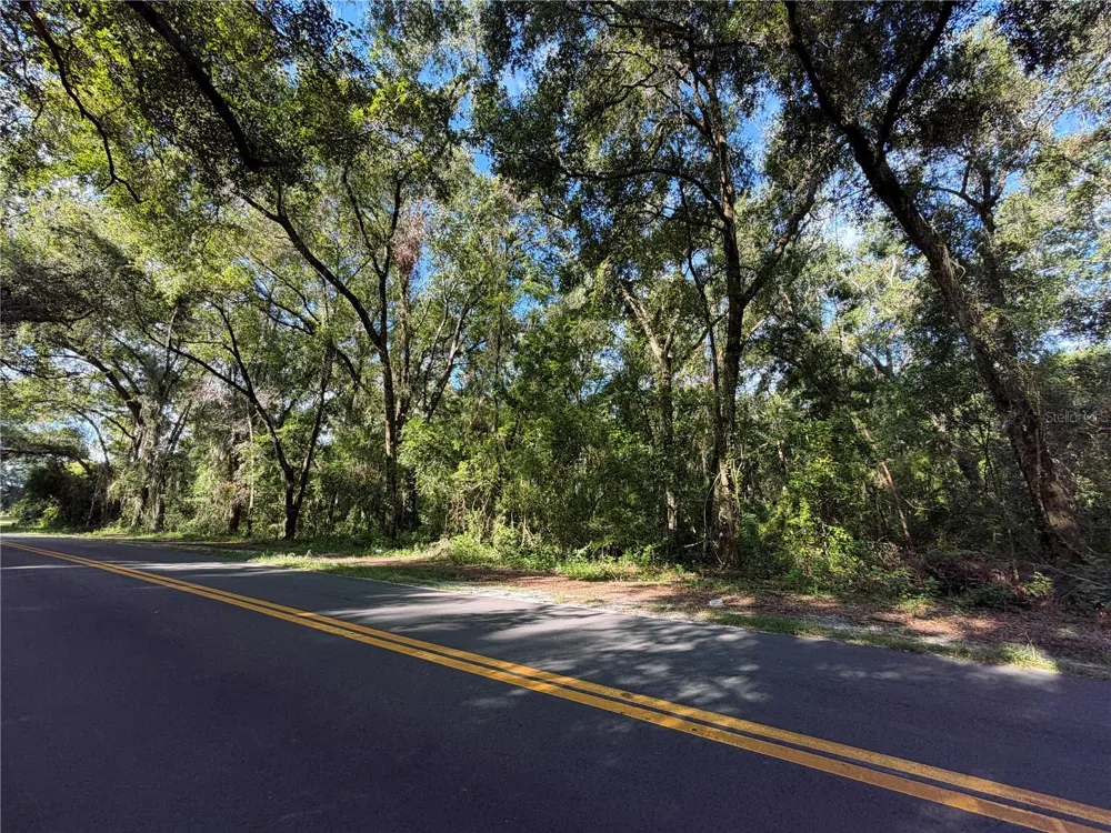 TBD S ST CLAIR ST Wildwood, FL 34785