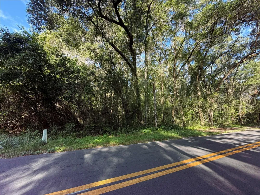 TBD S ST CLAIR ST Wildwood, FL 34785