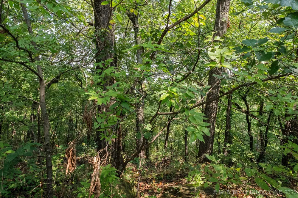 Woodcrest Lane Catoosa, OK 74015