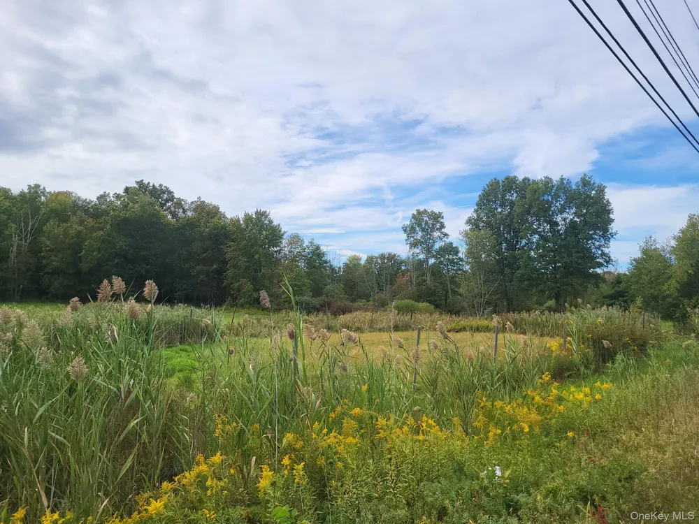 328 Bloomingburg Road Middletown, NY 10940