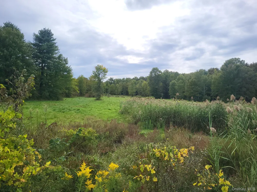 328 Bloomingburg Road Middletown, NY 10940