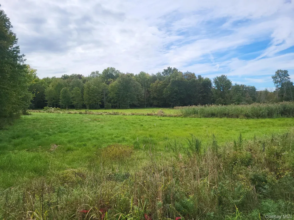 328 Bloomingburg Road Middletown, NY 10940