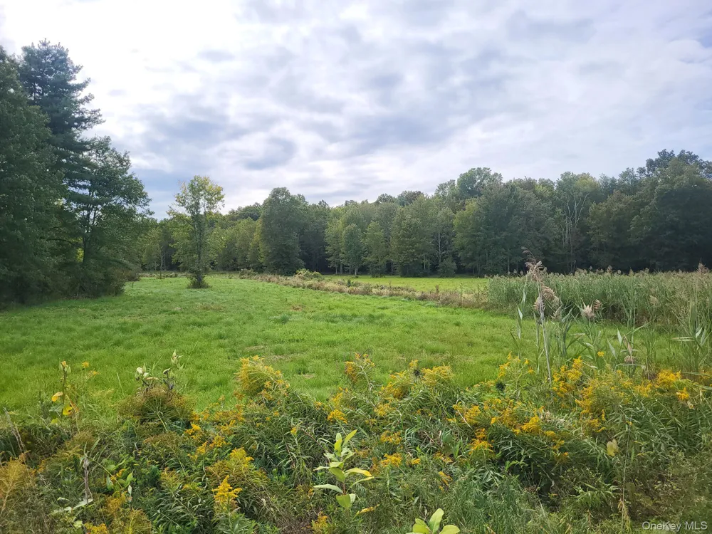 328 Bloomingburg Road Middletown, NY 10940