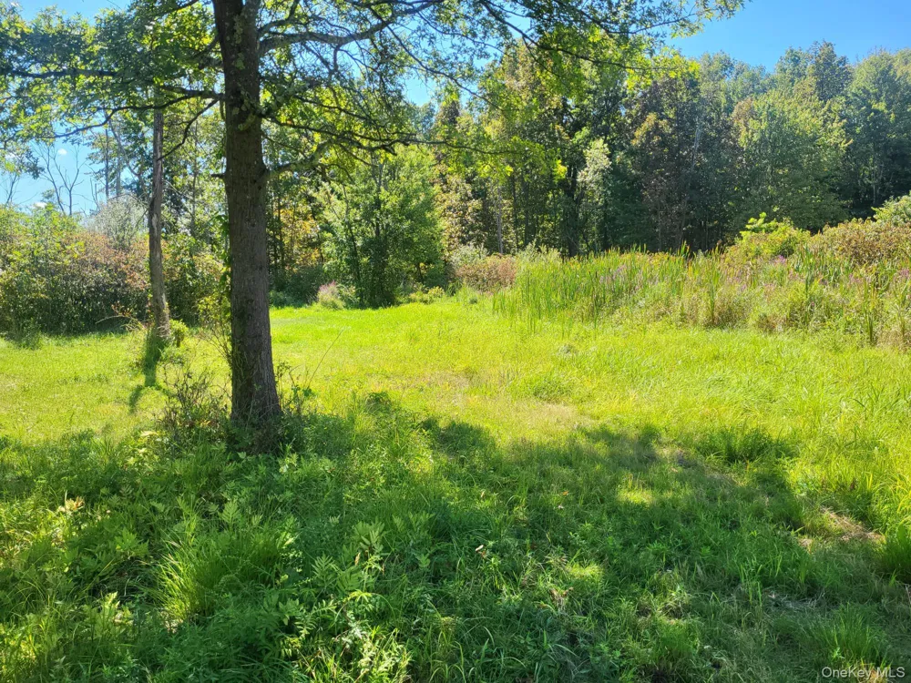 328 Bloomingburg Road Middletown, NY 10940