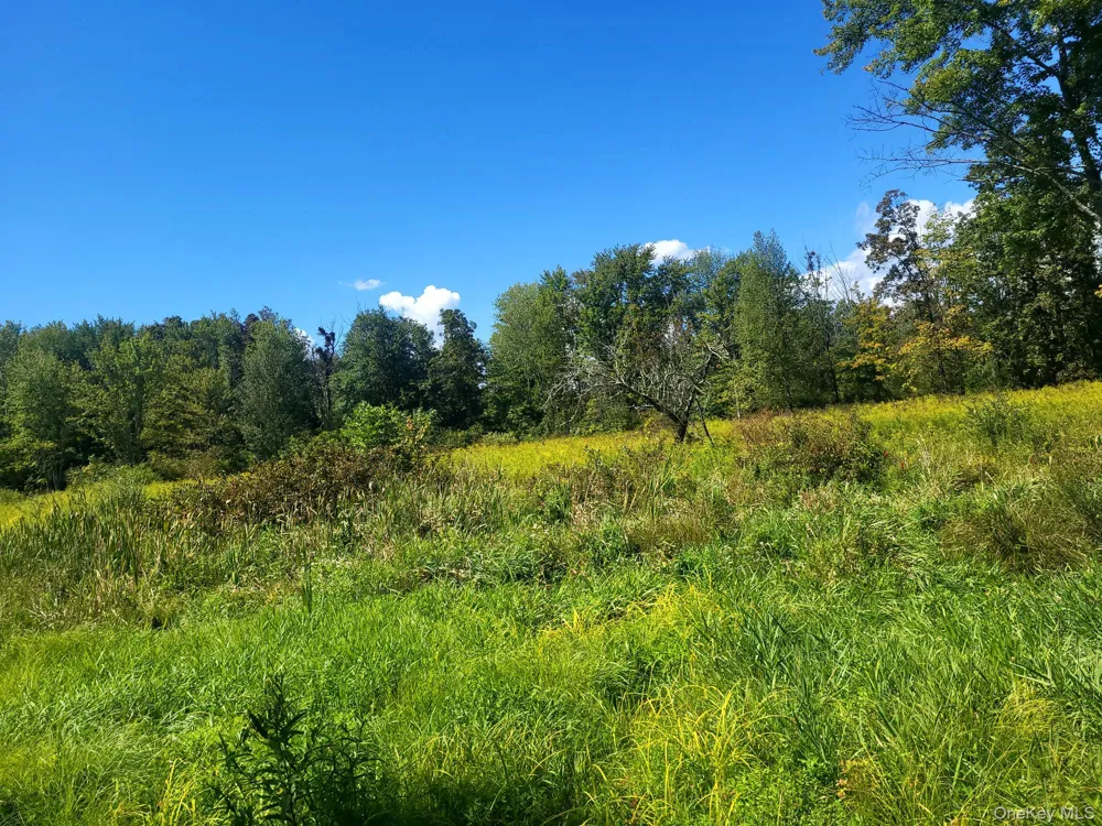 328 Bloomingburg Road Middletown, NY 10940