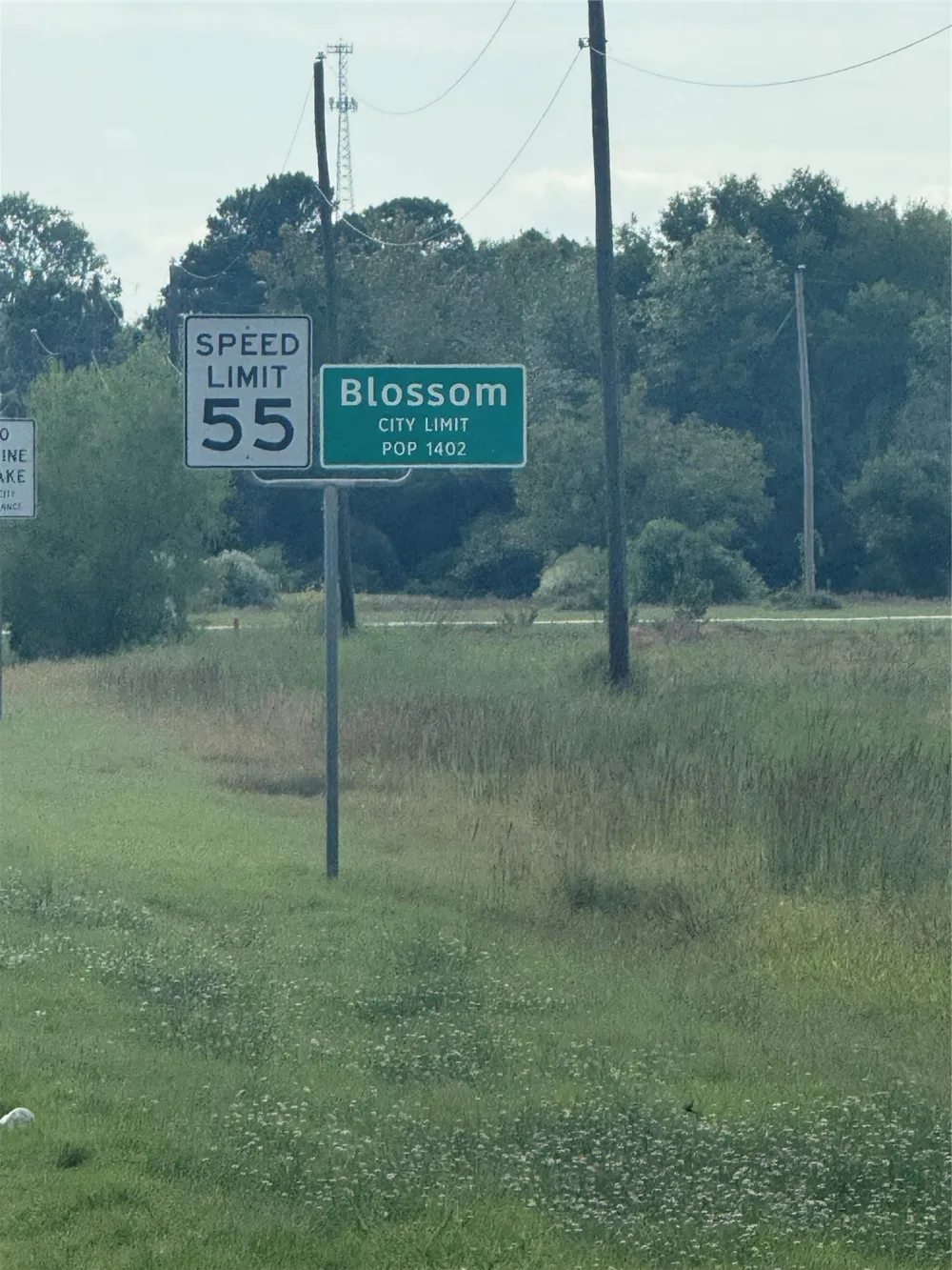 E 82 Highway E Blossom, TX 75416