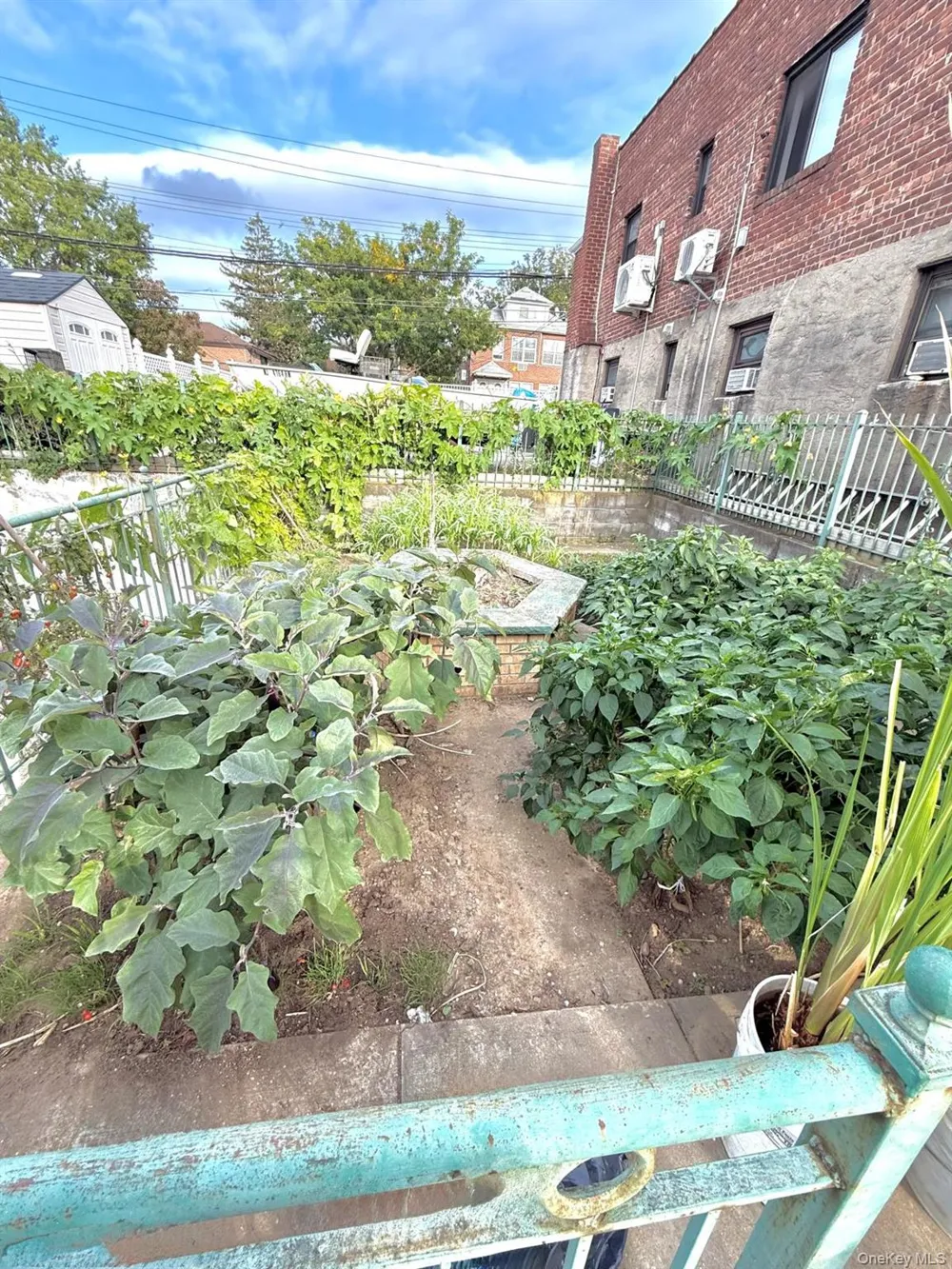 12214 25th Avenue #3A College Point, NY 11356