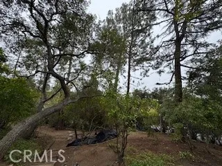 Burleigh Drive Pasadena, CA 91105