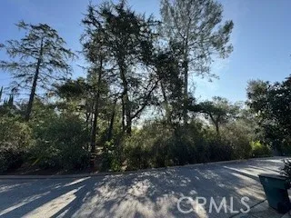 Burleigh Drive